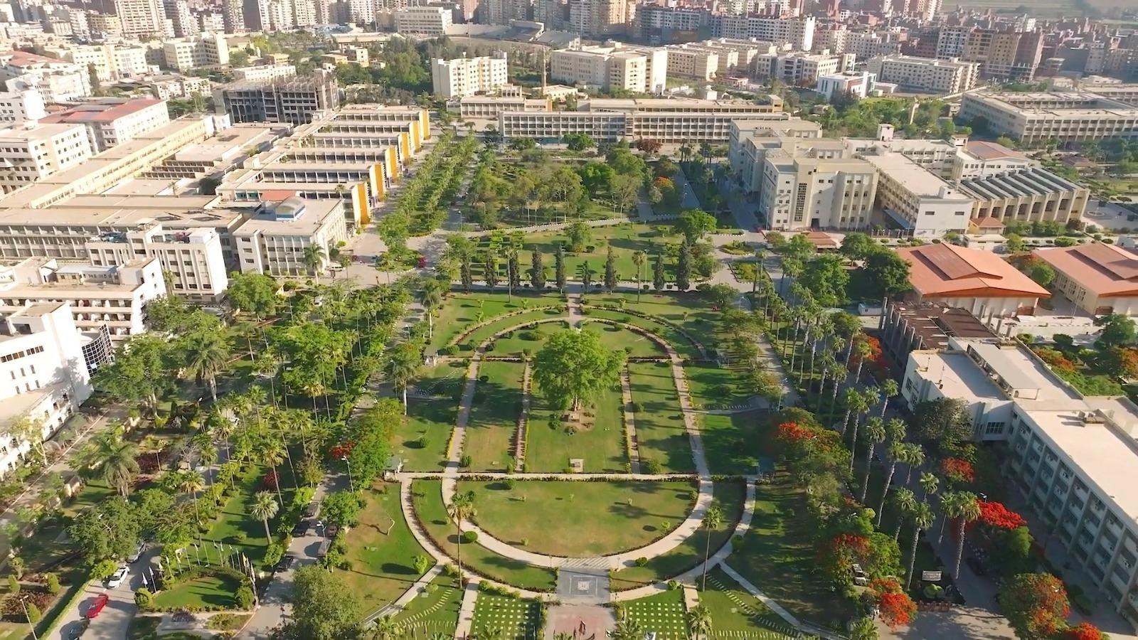 جامعة المنصورة