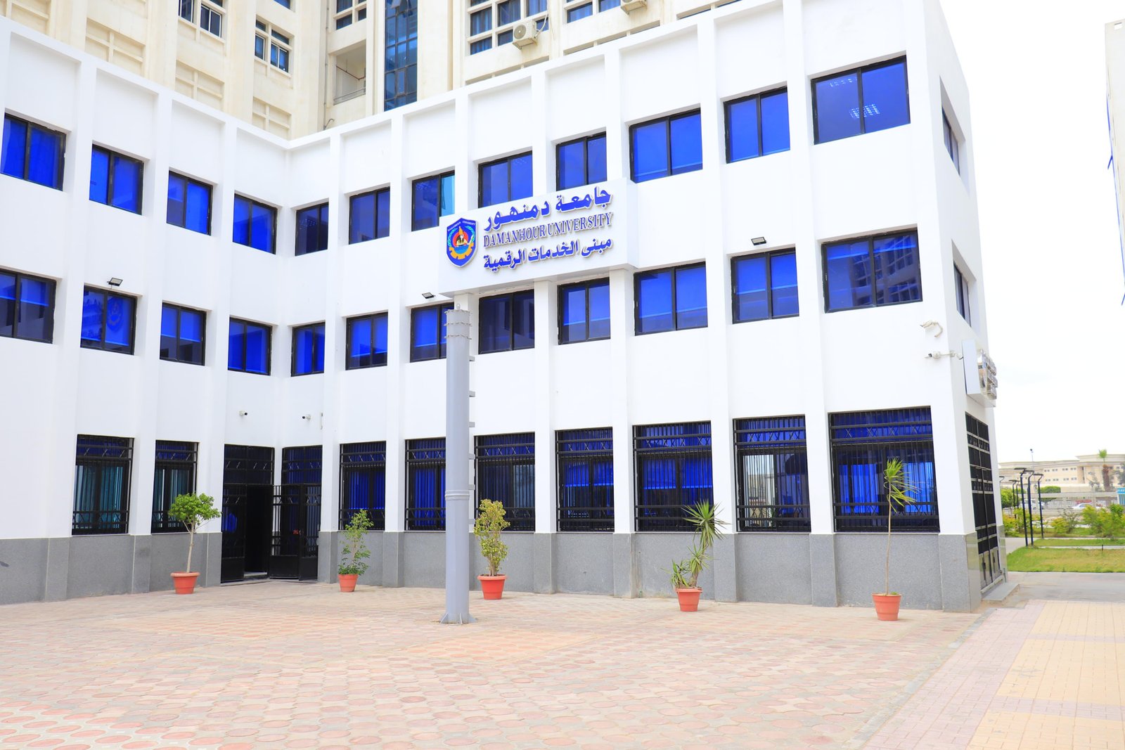 جامعة دمنهور 