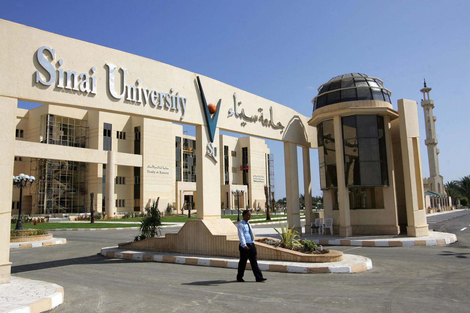 جامعة سيناء