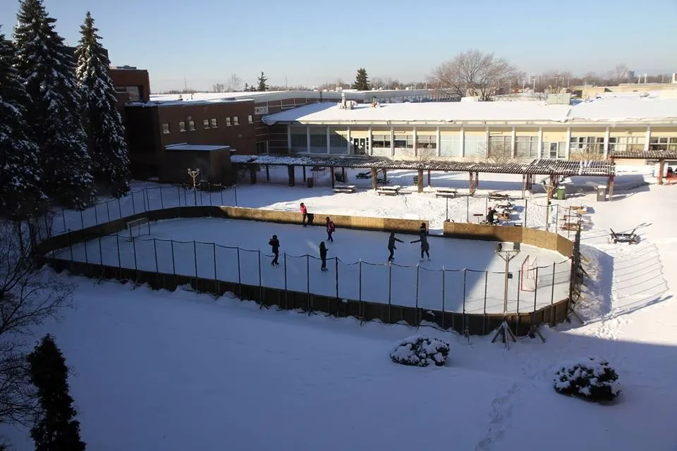 كلية الجونكوين