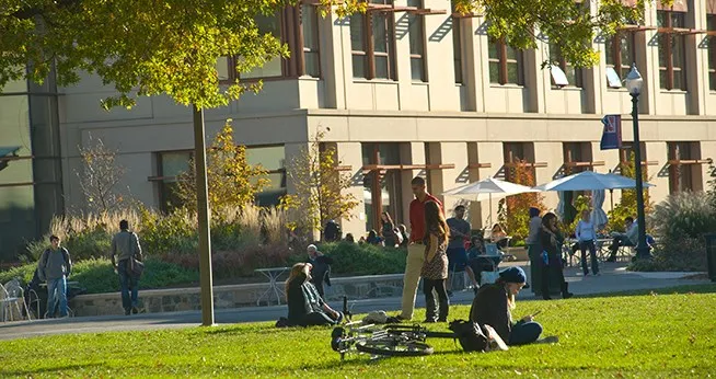 الجامعة الأمريكية