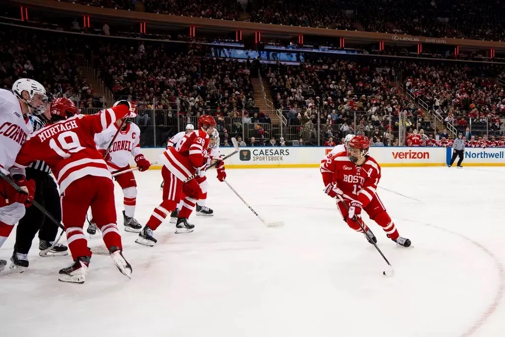 جامعة بوسطن