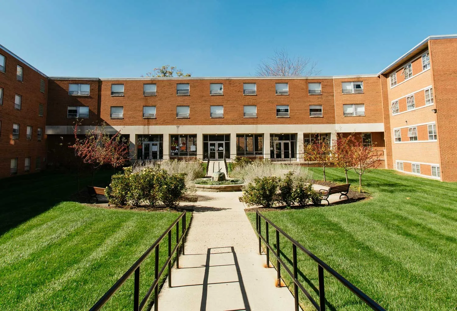 جامعة كابيتال