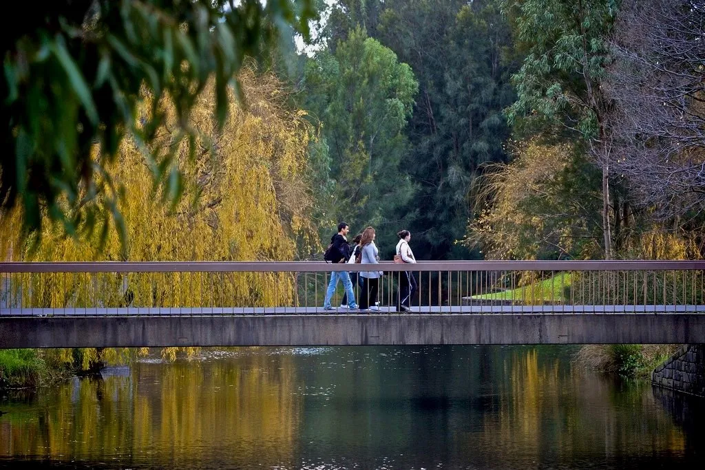 جامعة لاتروب