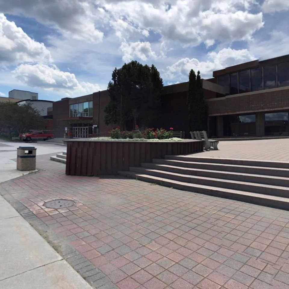 جامعة ليكهيد