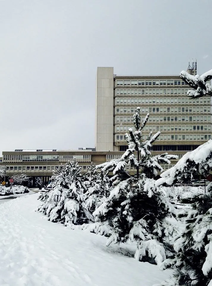 جامعة لورينتيان