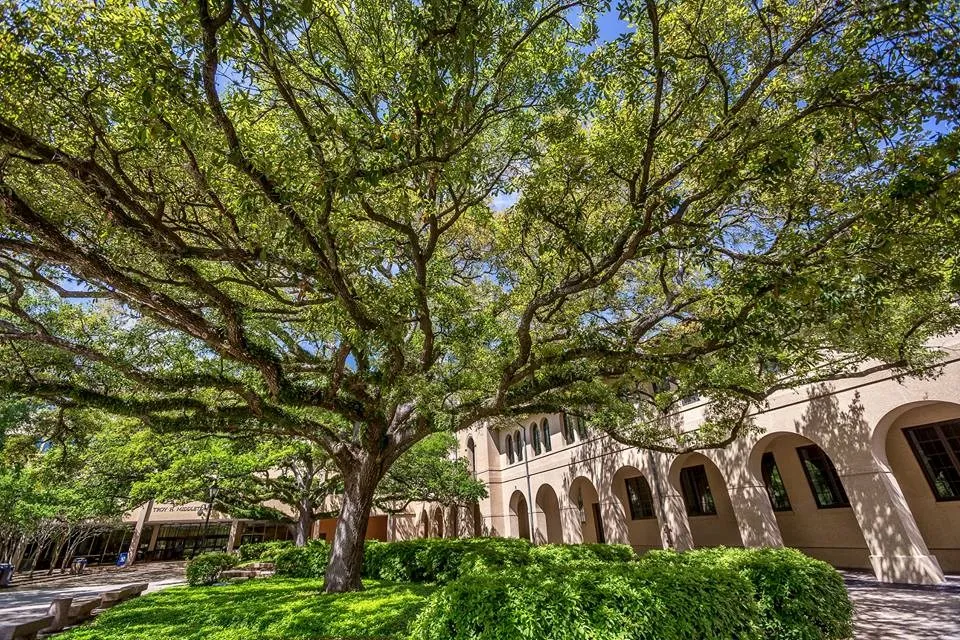 جامعة ولاية لويزيانا