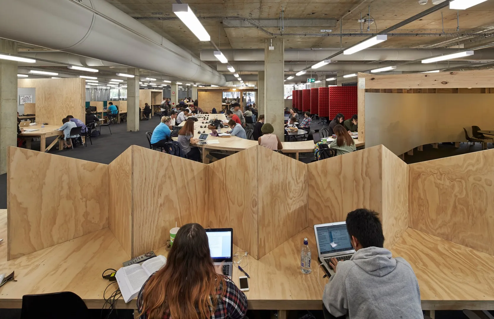 جامعة ماكواري