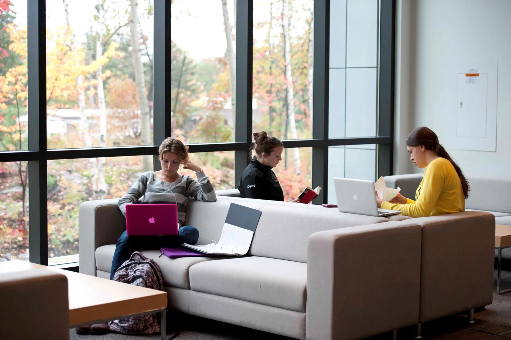 جامعة نيبسينج