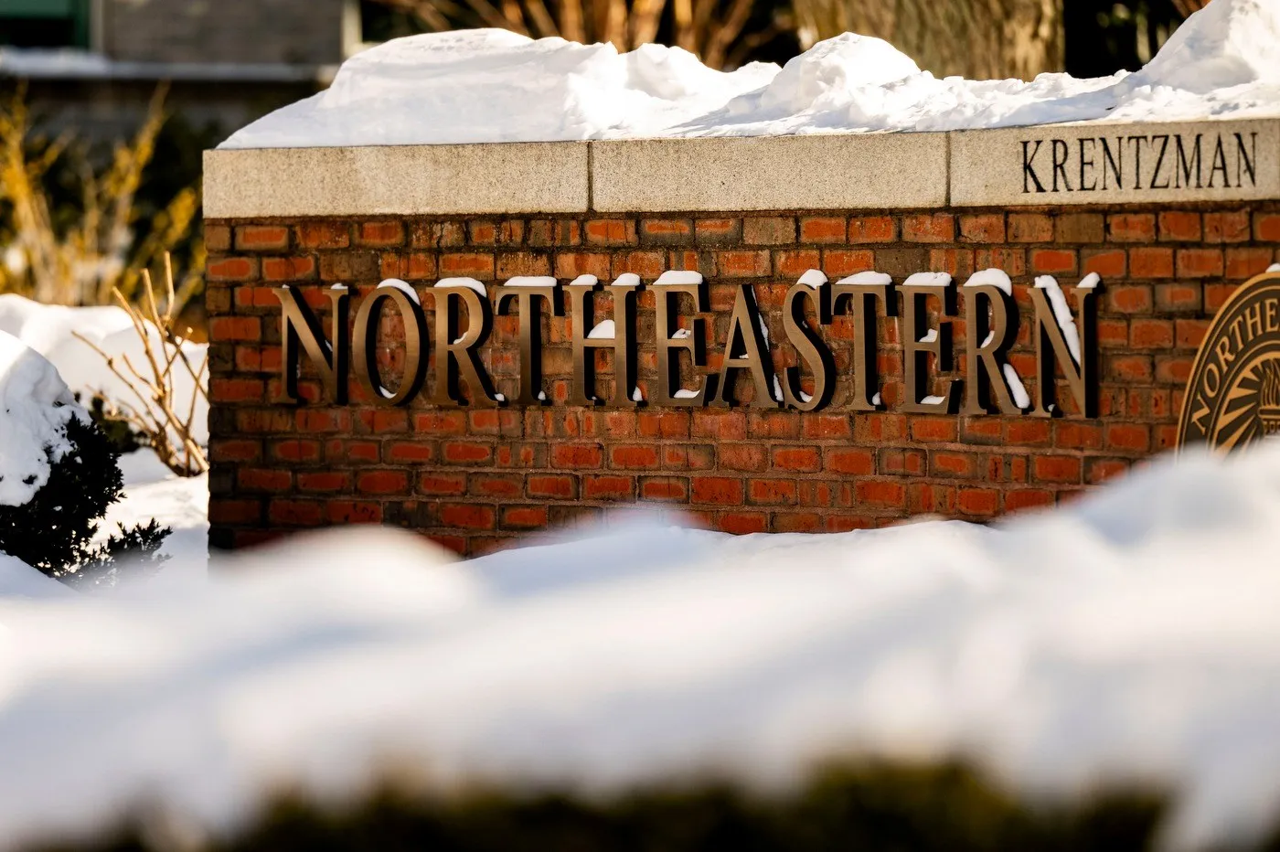 جامعة نورث إيسترن