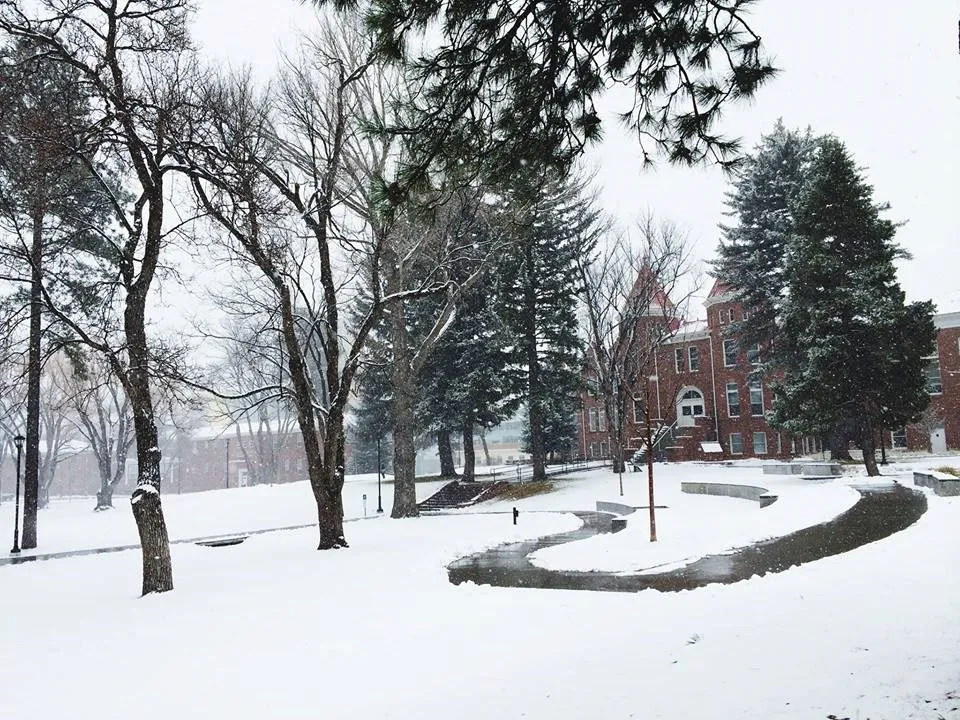 جامعة شمال أريزونا