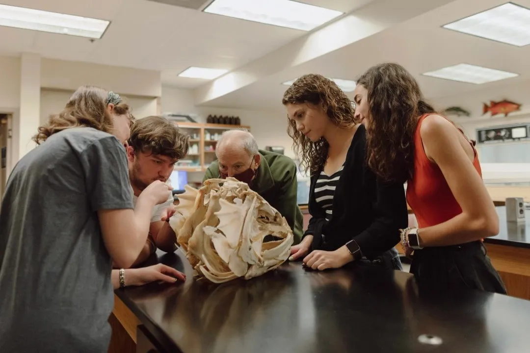 جامعة بالم بيتش أتلانتيك