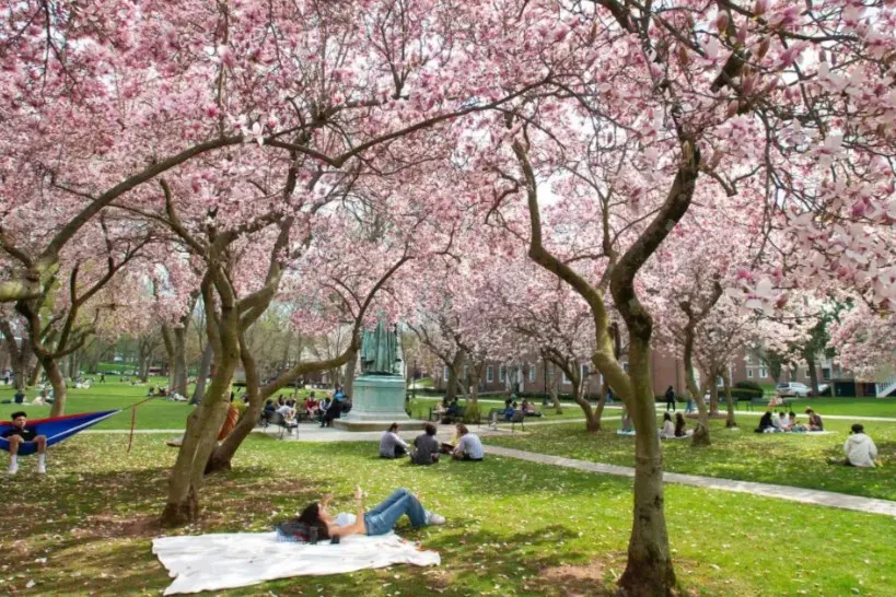 جامعة روتجرز - نيو برونزويك