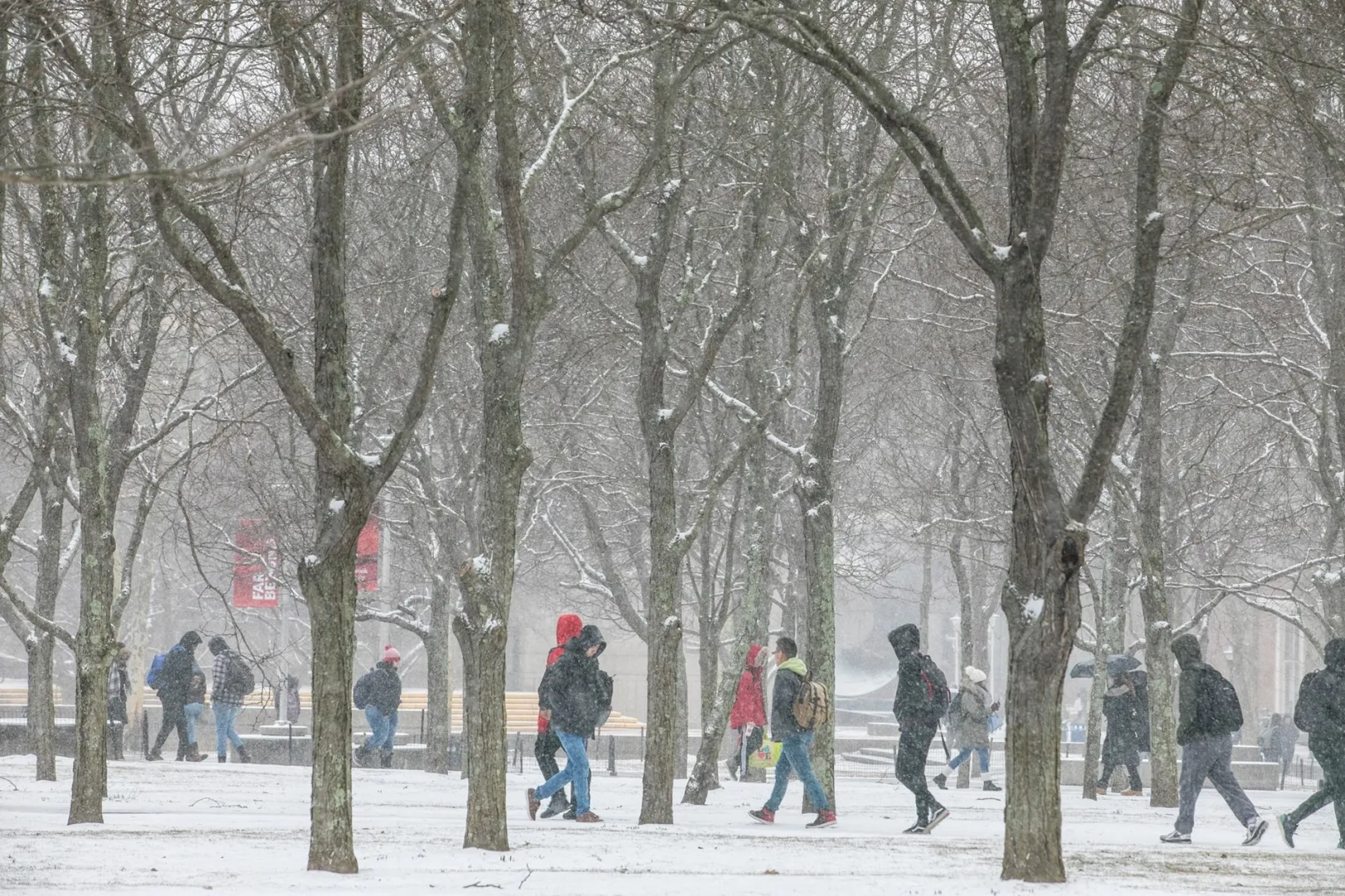 جامعة ستوني بروك