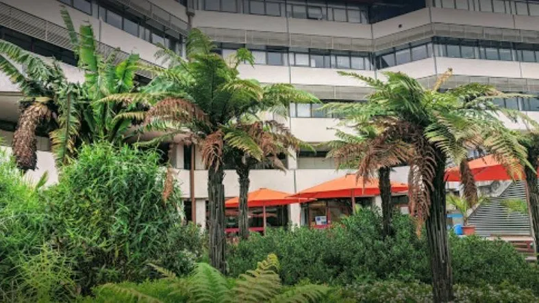 جامعة أوكلاند