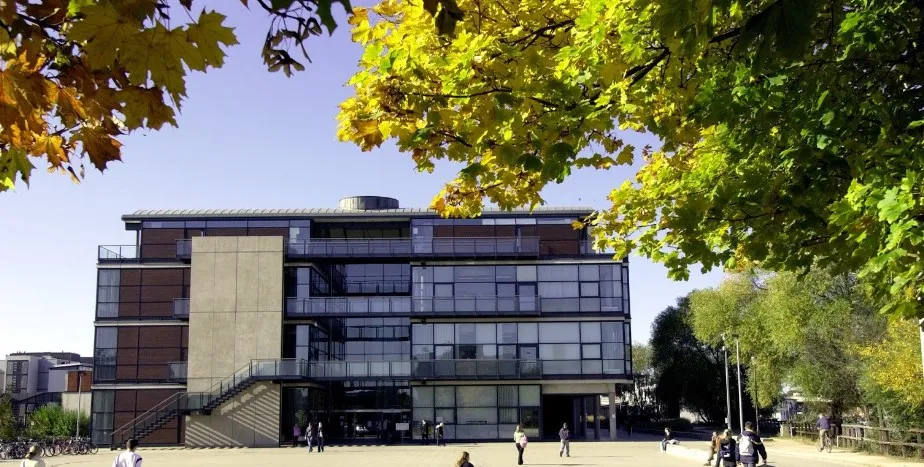 جامعة لينكولن