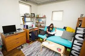 جامعة ميشيغان - فلينت