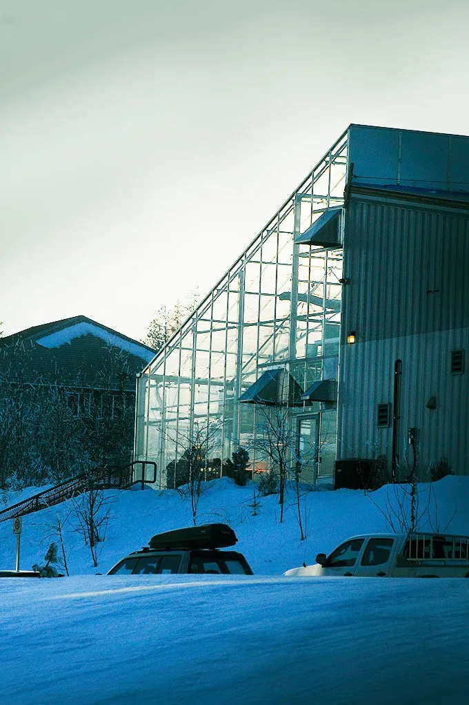 جامعة شمال بريتيش كولومبيا