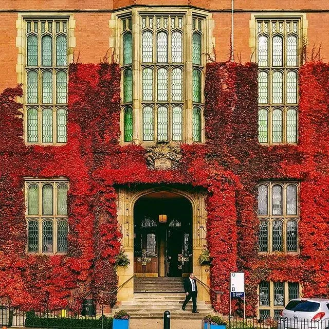 جامعة شيفيلد