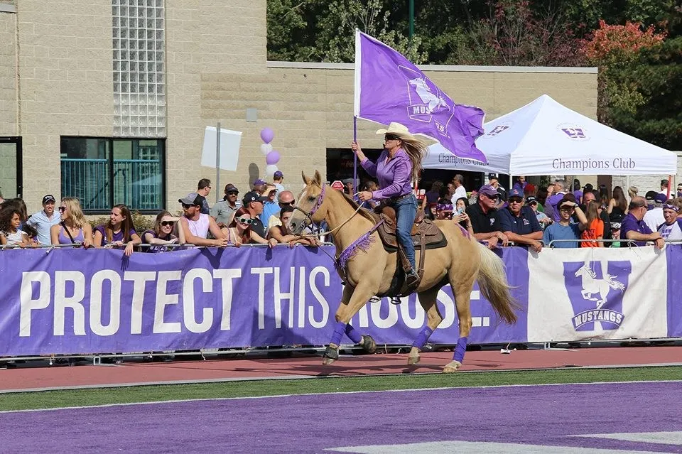 جامعة وسترن
